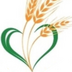 grains-sugar.com